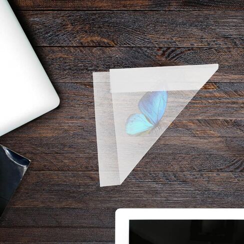 Cabilock 20 Pcs Specimen Collection Triangle Paper Bags 8.26X5.90X5.90In for Butterfly and Small Insect Storage Temporary Sample Preservation Classroom Science Teaching Envelopes in Kuwait