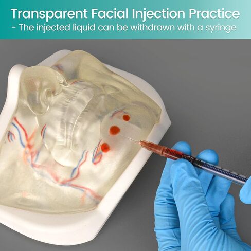 Injection Lower Face Training Model, Transparent Facial Injection Model with Simulated Blood Vessels, Injection Practice Kit for Teaching Medical Students Doctors, Estheticians in Kuwait