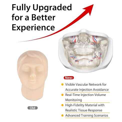 Injection Lower Face Training Model, Transparent Facial Injection Model with Simulated Blood Vessels, Injection Practice Kit for Teaching Medical Students Doctors, Estheticians in Kuwait