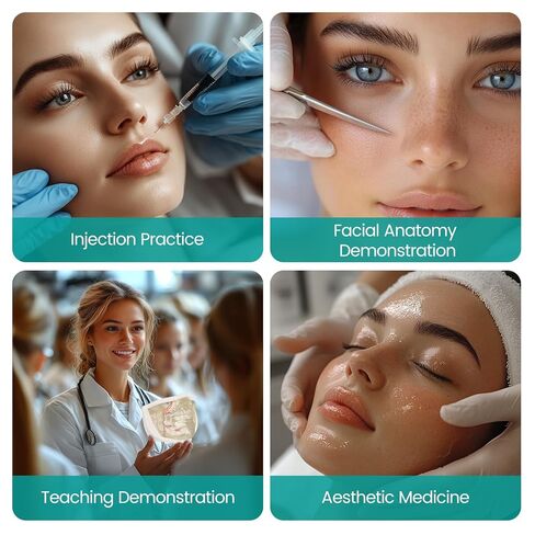 Injection Lower Face Training Model, Transparent Facial Injection Model with Simulated Blood Vessels, Injection Practice Kit for Teaching Medical Students Doctors, Estheticians in Kuwait