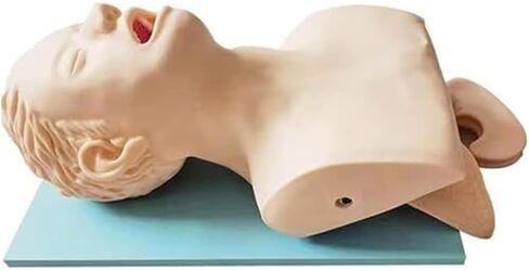 مدرب إدارة مجرى الهواء عن طريق الفم والأنف، محاكي القصبة الهوائية، نموذج تعليمي للقزم in Kuwait