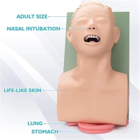 مدرب إدارة مجرى الهواء عن طريق الفم والأنف، محاكي القصبة الهوائية، نموذج تعليمي للقزم in Kuwait