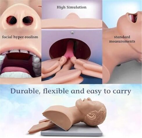 مدرب إدارة مجرى الهواء عن طريق الفم والأنف، محاكي القصبة الهوائية، نموذج تعليمي للقزم in Kuwait