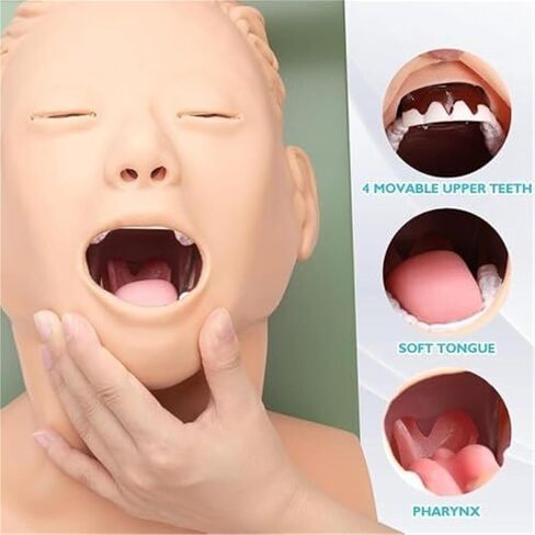 مدرب إدارة مجرى الهواء عن طريق الفم والأنف، محاكي القصبة الهوائية، نموذج تعليمي للقزم in Kuwait