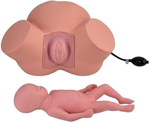 Teaching Model for Difficult Delivery of Infants, Adjustable Inflatable Bag Pelvic Width, Used for Obstetrics and Gynecology Training in Saudi Arabia