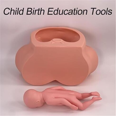 Teaching Model for Difficult Delivery of Infants, Adjustable Inflatable Bag Pelvic Width, Used for Obstetrics and Gynecology Training in Saudi Arabia