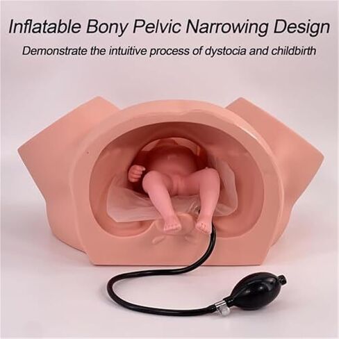 Teaching Model for Difficult Delivery of Infants, Adjustable Inflatable Bag Pelvic Width, Used for Obstetrics and Gynecology Training in Saudi Arabia