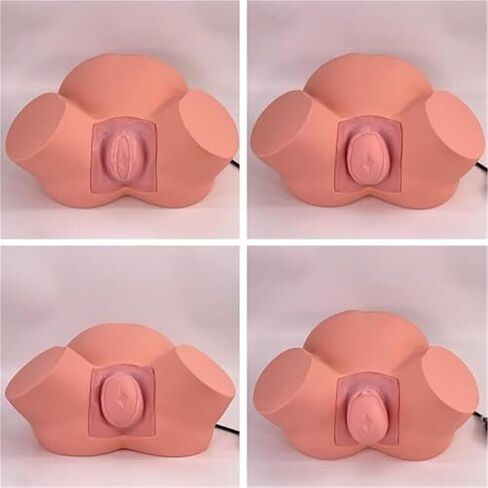 Teaching Model for Difficult Delivery of Infants, Adjustable Inflatable Bag Pelvic Width, Used for Obstetrics and Gynecology Training in Saudi Arabia