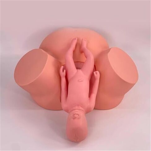 Delivery Training Model Simulator with Adjustable Inflatable Bag for Practical Teaching in Saudi Arabia