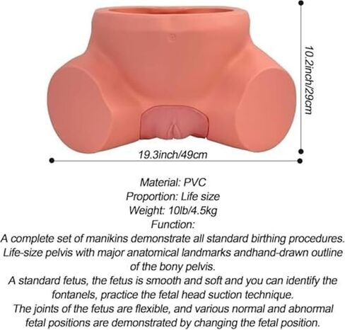 Delivery Training Model Simulator with Adjustable Inflatable Bag for Practical Teaching in Saudi Arabia
