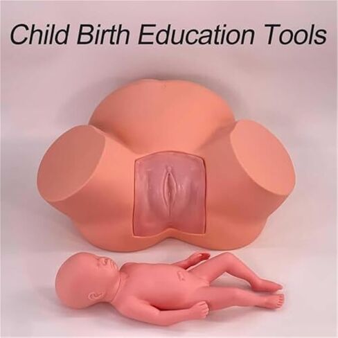Delivery Training Model Simulator with Adjustable Inflatable Bag for Practical Teaching in Saudi Arabia