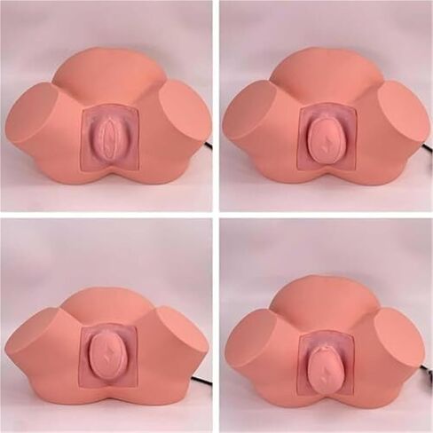 Delivery Training Model Simulator with Adjustable Inflatable Bag for Practical Teaching in Saudi Arabia