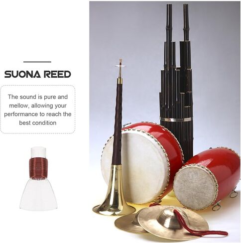 Cabilock 10 Pcs Plastic Suona Reeds Mouthpieces Suona Instrument Parts Lightweight Wind Instrument Supplies Small Size for Folk Music Performance in Kuwait