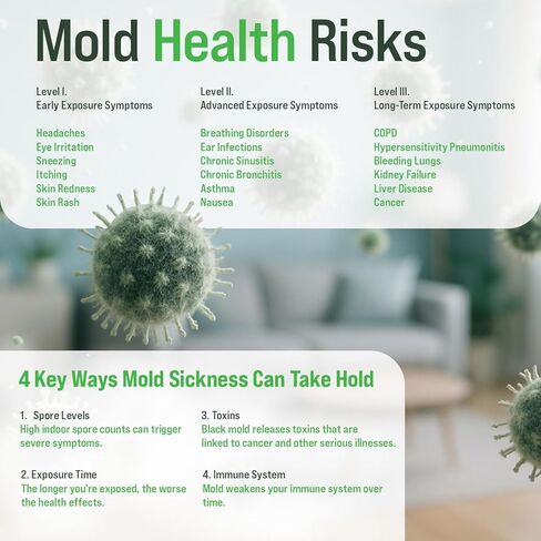 Microbial Mold Test Kit for Home - Indoor Air Quality and Surface Testing - Detects Black Mold, Mildew, and Fungi - Air and Surface Mold Detection Kit with Lab Analysis Included in Kuwait
