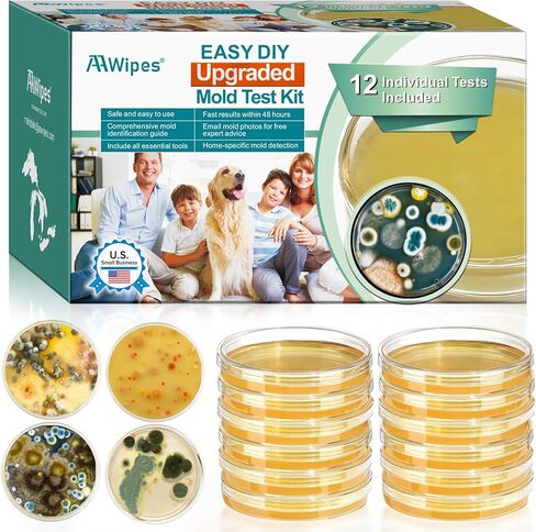 مجموعة اختبار قوالب AAwipes، 6 اختبارات فردية للكشف عن قوالب الهواء في المنزل DIY قالب أسود يتضمن دليل تفصيلي لتحديد القالب (6) in Saudi Arabia