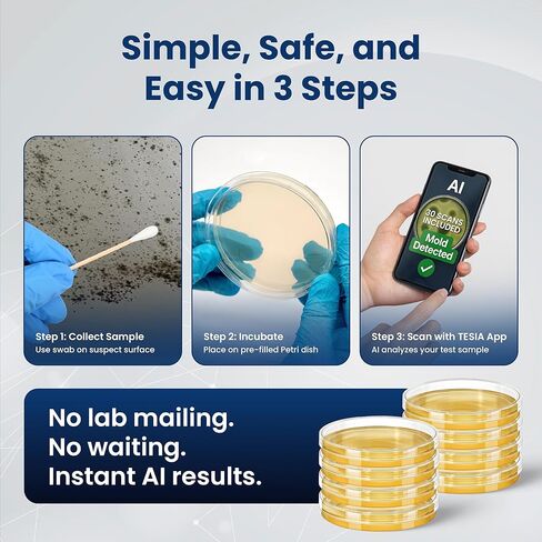 Mold Test Kit for Home with AI Mold Detection, 8 Petri Dish Tests, Includes 30 AI Scans, Home Surfaces and Indoor Air Quality Testing Kits, Black Mold Testing kit, Fast Analysis, No Lab Required in Kuwait