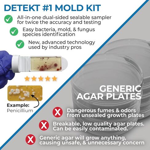 Mold Test Kit for Home by Detekt - with 4 Mold Detection + 4 Bacteria Detection Tests for HVAC, Surfaces, & Indoor Air Quality - DIY Kit inlcudes Detailed Identification Guide & Free Consultation in Kuwait