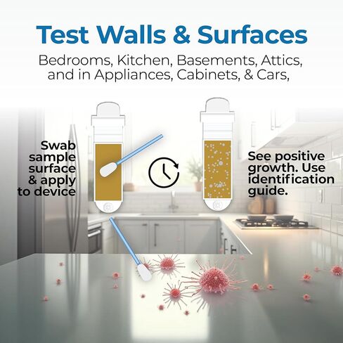 Mold Test Kit for Home by Detekt - with 4 Mold Detection + 4 Bacteria Detection Tests for HVAC, Surfaces, & Indoor Air Quality - DIY Kit inlcudes Detailed Identification Guide & Free Consultation in Kuwait