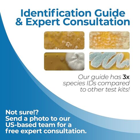 Mold Test Kit for Home by Detekt - with 4 Mold Detection + 4 Bacteria Detection Tests for HVAC, Surfaces, & Indoor Air Quality - DIY Kit inlcudes Detailed Identification Guide & Free Consultation in Kuwait