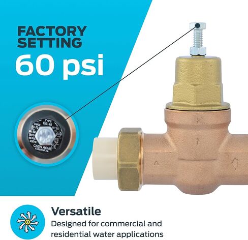Cash Acme EB45 Pressure Regulating Valve, Double Union, 1 Inch CPVC, Metal Top, 60 PSI, PVA20M-DUVC-60 in Saudi Arabia