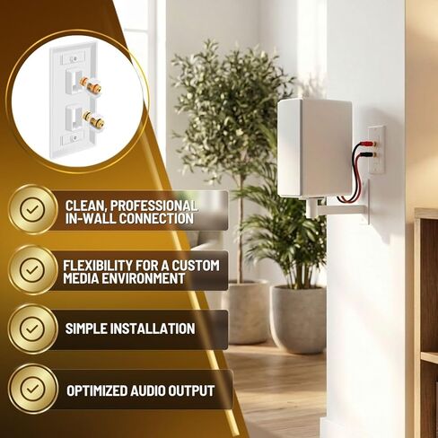 TNP Banana Jack Keystone Insert (Set of 2) - Stereo Speaker Banana Connector Binding Post Snap in Adapter Socket Female Port Inline Coupler for Wall Plate Outlet Panel, 2 Channel Black + Red (1 Pack) in Kuwait