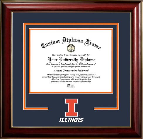 Campus Images University of Illinois Fighting Illini 11w x 8.5h Classic Spirit Logo Diploma Frame in Saudi Arabia