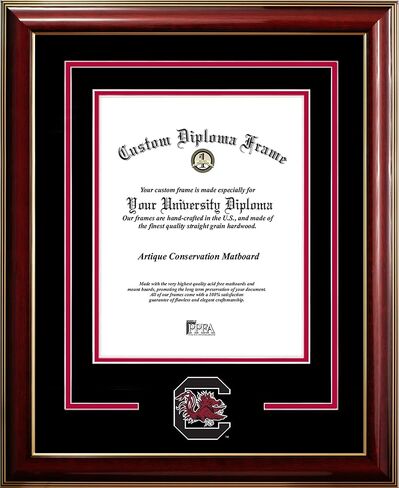 Campus Images South Carolina Gamecocks 11w x 14h Classic Spirit Logo Diploma Frame in Saudi Arabia