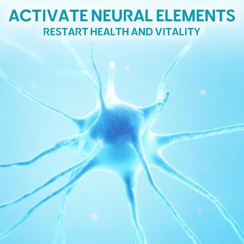 منقذ الأعصاب للاعتلال العصبي، منقذ الأعصاب 600 ملغ من حمض ألفا ليبويك - تخفيف مستهدف للاعتلال العصبي المحيطي في اليدين والقدمين، تقوية صحة الأعصاب، 120 كبسولة in Kuwait