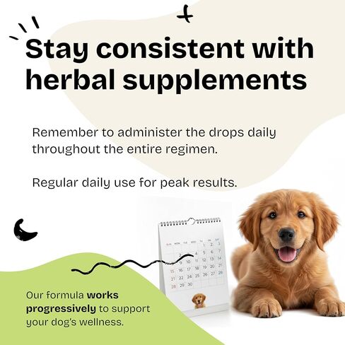 Echinacea Drops for Dogs - Respiratory Health & Immunity Support w/Echinacea Herb Tincture - Liquid Immune Support Supplement for Dogs of All Breeds & Sizes - 2 oz in Kuwait