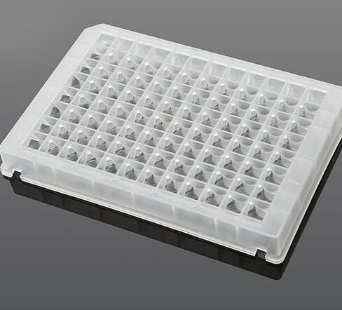Deep Well Plate, 50PCS 2.2ml Plastic Storage Plates, Square 96 Wells, V Bottom, Fit for Kingfisher Flex System, No Cap, Pack of 50 in Saudi Arabia
