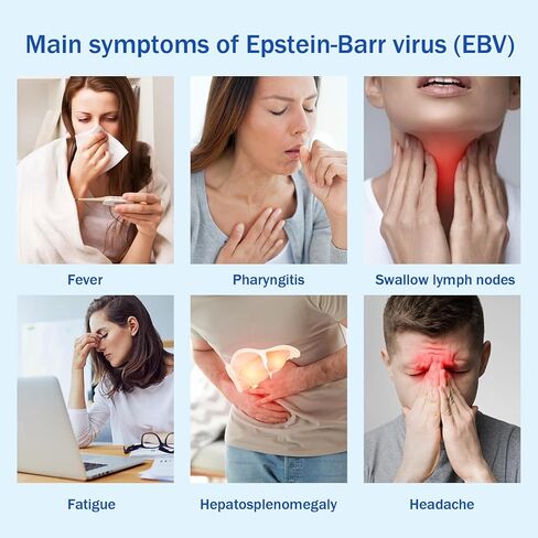 اختبار Epstein Barr (EBV) في المنزل، دقيق للغاية وسهل القراءة والاستخدام. ضد VCA وEBNA الخاصين بفيروس Epstein-Barr، نتائج سريعة خلال 15 دقيقة. in Kuwait
