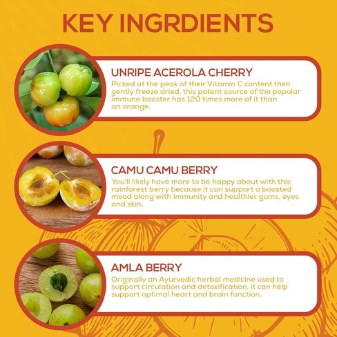 Paleovalley Essential C Complex - Vitamin C Supplement for Immune Support - 1 Pack, 450mg - Organic Superfoods Unripe Acerola Cherry, Camu Camu, Amla Berry - No Synthetic Ascorbic Acid - USA Made in Saudi Arabia