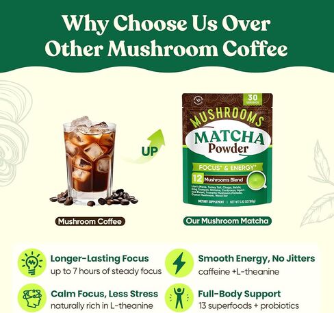 Venture Pal SUPERFOODS Mushroom Matcha Powder – 12 Adaptogenic Mushroom Coffee Alternative with 1.5B Probiotics & L-Theanine, First Harvest Ceremonial Matcha for Focus & Energy, 30 Servings in Kuwait
