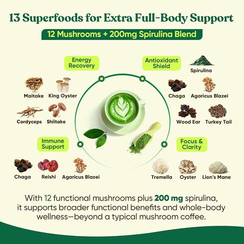 Venture Pal SUPERFOODS Mushroom Matcha Powder – 12 Adaptogenic Mushroom Coffee Alternative with 1.5B Probiotics & L-Theanine, First Harvest Ceremonial Matcha for Focus & Energy, 30 Servings in Kuwait