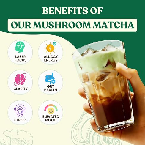 Venture Pal SUPERFOODS Mushroom Matcha Powder – 12 Adaptogenic Mushroom Coffee Alternative with 1.5B Probiotics & L-Theanine, First Harvest Ceremonial Matcha for Focus & Energy, 30 Servings in Kuwait
