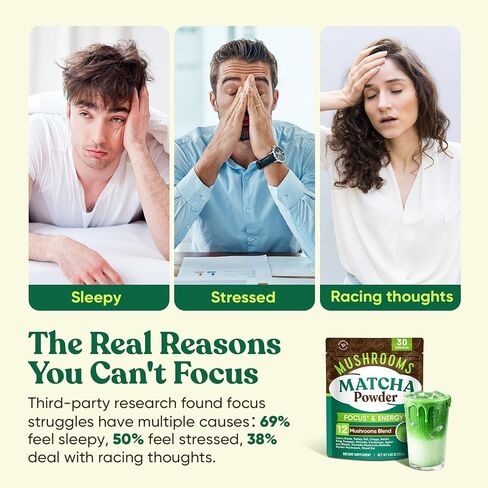 Venture Pal SUPERFOODS Mushroom Matcha Powder – 12 Adaptogenic Mushroom Coffee Alternative with 1.5B Probiotics & L-Theanine, First Harvest Ceremonial Matcha for Focus & Energy, 30 Servings in Kuwait