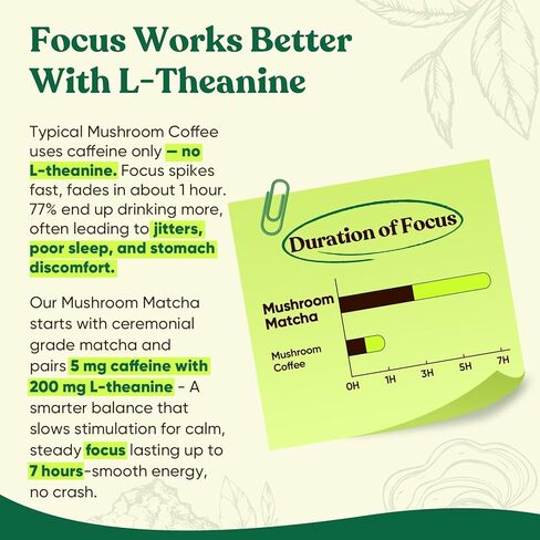 Venture Pal SUPERFOODS Mushroom Matcha Powder – 12 Adaptogenic Mushroom Coffee Alternative with 1.5B Probiotics & L-Theanine, First Harvest Ceremonial Matcha for Focus & Energy, 30 Servings in Kuwait