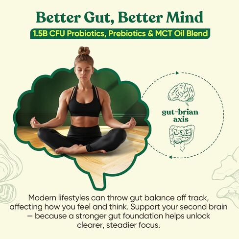 Venture Pal SUPERFOODS Mushroom Matcha Powder – 12 Adaptogenic Mushroom Coffee Alternative with 1.5B Probiotics & L-Theanine, First Harvest Ceremonial Matcha for Focus & Energy, 30 Servings in Kuwait