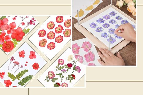 MUYIBENMU Flower Press Kit, 11.8" x 11.8" 10 Layers Extra Large Wooden Flower Pressing Kit with Storage Bag and Zipper Pouch, DIY Pressed Flower Plant Preservation Kit (Garland) in Saudi Arabia