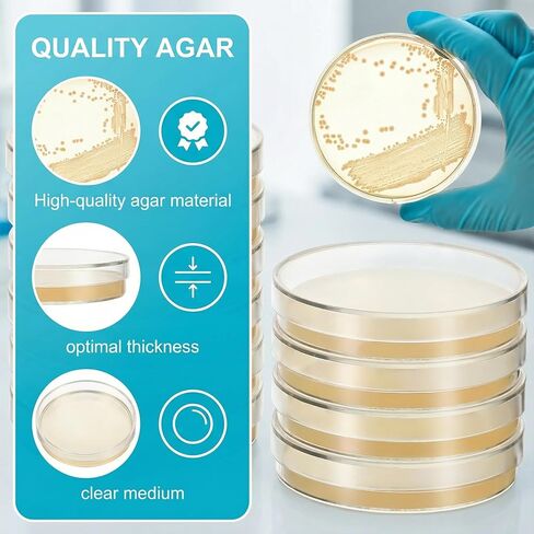Alipis 10pcs Petri Dishes with Agar: Pre-Poured Nutrient Agar Plates - Petri Dishe for Science Experiments Science Kit Sealed Separately in Saudi Arabia