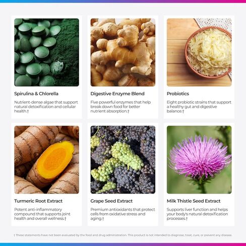 Livingood Daily Greens & Superfood Powder، الخضروات الفائقة لصحة الأمعاء، مسحوق العصير الأخضر مع سبيرولينا، شلوريلا، والإنزيمات الهاضمة، البروبيوتيك لدعم الجهاز الهضمي، التوت، 30 حصة in Saudi Arabia