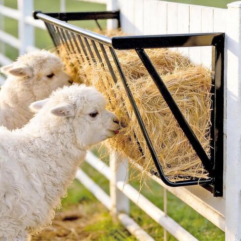 الحائط جبل القش التغذية التغذية الماعز التبن تغذية القش للخيول متعددة الأوجه وحدة التغذية التغذية حامل 67 جالون رف القش المعدني الشاق 63 '' لخيول الماعز الداخلية والخارجية الاستخدام in Kuwait