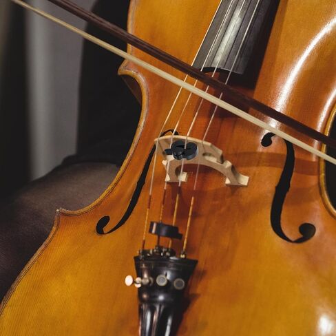 6pcs Violin Practice Mute, Violin Mute Full Size, Viola Mute, Silicone Violin Mutes Small Viola Mutes for Violin Quiet Practice, Black(3 Size) in Kuwait