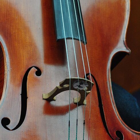 6pcs Violin Practice Mute, Violin Mute Full Size, Viola Mute, Silicone Violin Mutes Small Viola Mutes for Violin Quiet Practice, Black(3 Size) in Kuwait