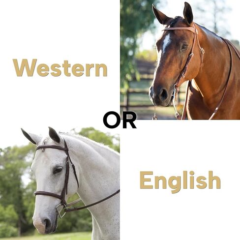 واقيات لقم الحصان من LBH MARKET من النيوبرين 3 بوصات - حماية لقم مبطنة ناعمة مع إغلاق فيلكرو - يمنع القرص والاحتكاك - أداة ركوب الفروسية - أسود (زوج) in Kuwait