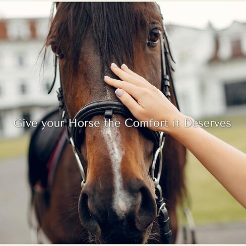 واقيات لقم الحصان من LBH MARKET من النيوبرين 3 بوصات - حماية لقم مبطنة ناعمة مع إغلاق فيلكرو - يمنع القرص والاحتكاك - أداة ركوب الفروسية - أسود (زوج) in Kuwait