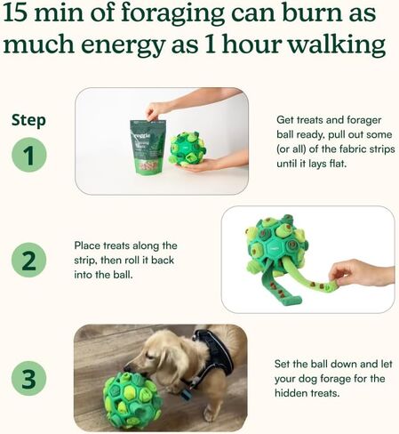 reggie forager ball & Training Treats for Dogs | إثراء وقت الوجبة للحد من الملل ، فرط النشاط ، الإجهاد | معتمدة من قبل الطبيب البيطري ومثالي لجميع الأعمار والسلالات - تركيا واليقطين (340 علاج) in Kuwait