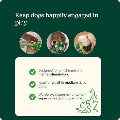 reggie forager ball & Training Treats for Dogs | إثراء وقت الوجبة للحد من الملل ، فرط النشاط ، الإجهاد | معتمدة من قبل الطبيب البيطري ومثالي لجميع الأعمار والسلالات - تركيا واليقطين (340 علاج) in Kuwait