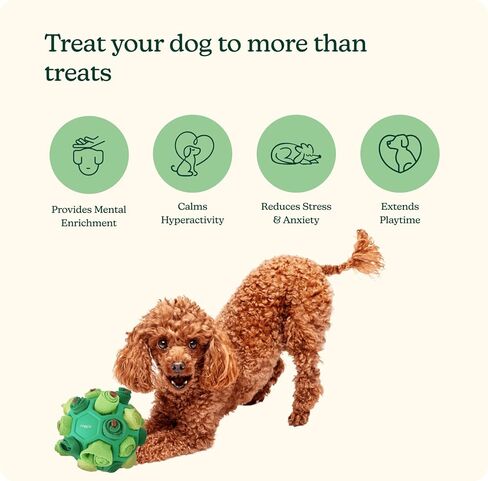 reggie forager ball & Training Treats for Dogs | إثراء وقت الوجبة للحد من الملل ، فرط النشاط ، الإجهاد | معتمدة من قبل الطبيب البيطري ومثالي لجميع الأعمار والسلالات - تركيا واليقطين (340 علاج) in Kuwait