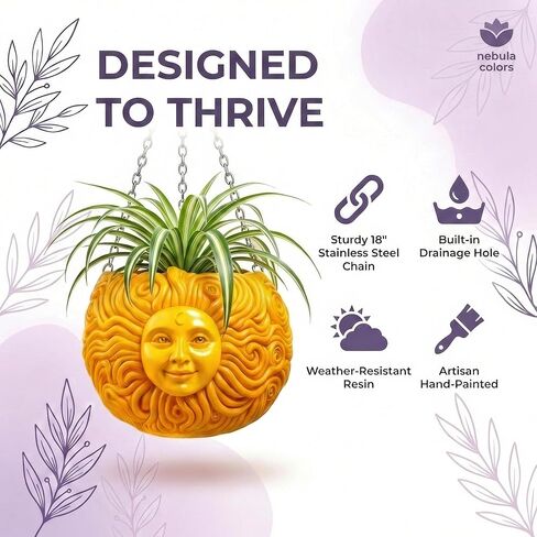 متعة وفريدة من نوعها من أشعة الشمس معلقة زارع سماوي ملتوية لعشاق النباتات - سلة زهرة في الهواء الطلق في الهواء الطلق للعصارة والنباتات الصغيرة - زخرفة حديقة الفناء in Kuwait